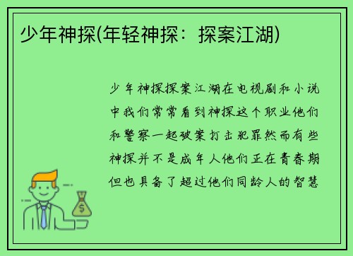 少年神探(年轻神探：探案江湖)